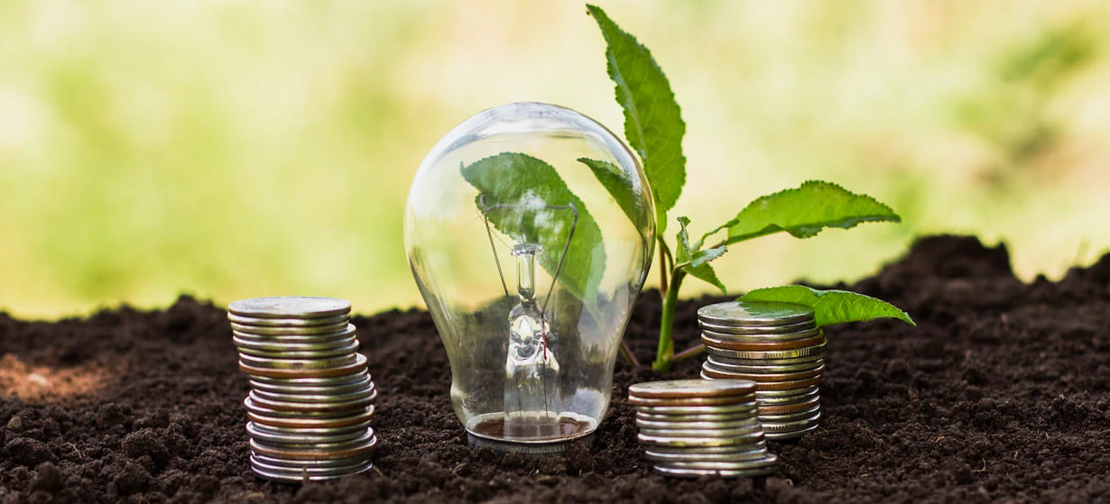 سرمایه‌گذاری در حوزه انرژی‌های پاک: فرصت‌ها، ریسک‌ها و تأثیرات